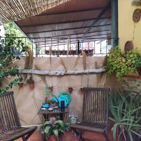 Cool Garden&Suite Mairena del Aljarafe Exterior foto