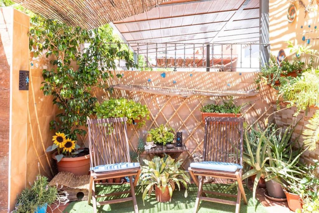 Cool Garden&Suite Mairena del Aljarafe Exterior foto